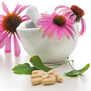 echinacea