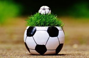 Gazon fotbal