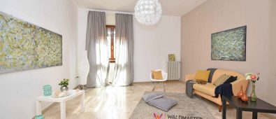 Ingrijirea covoarelor