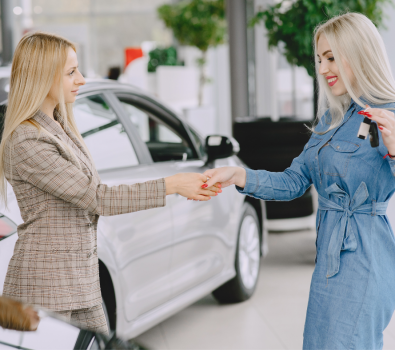 Motivatie modele de videochat