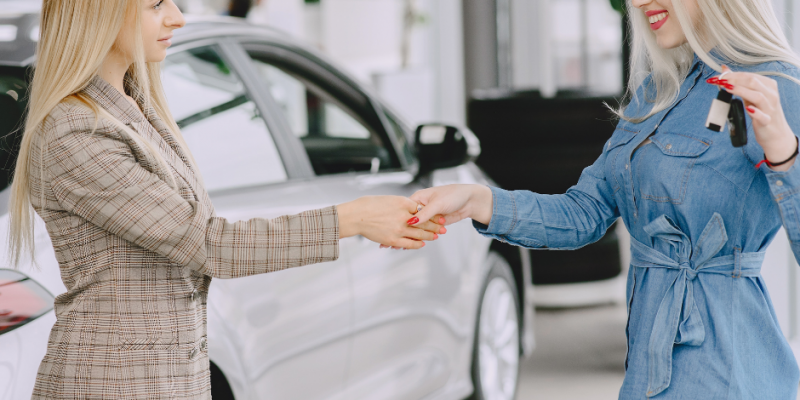 Motivatie modele de videochat