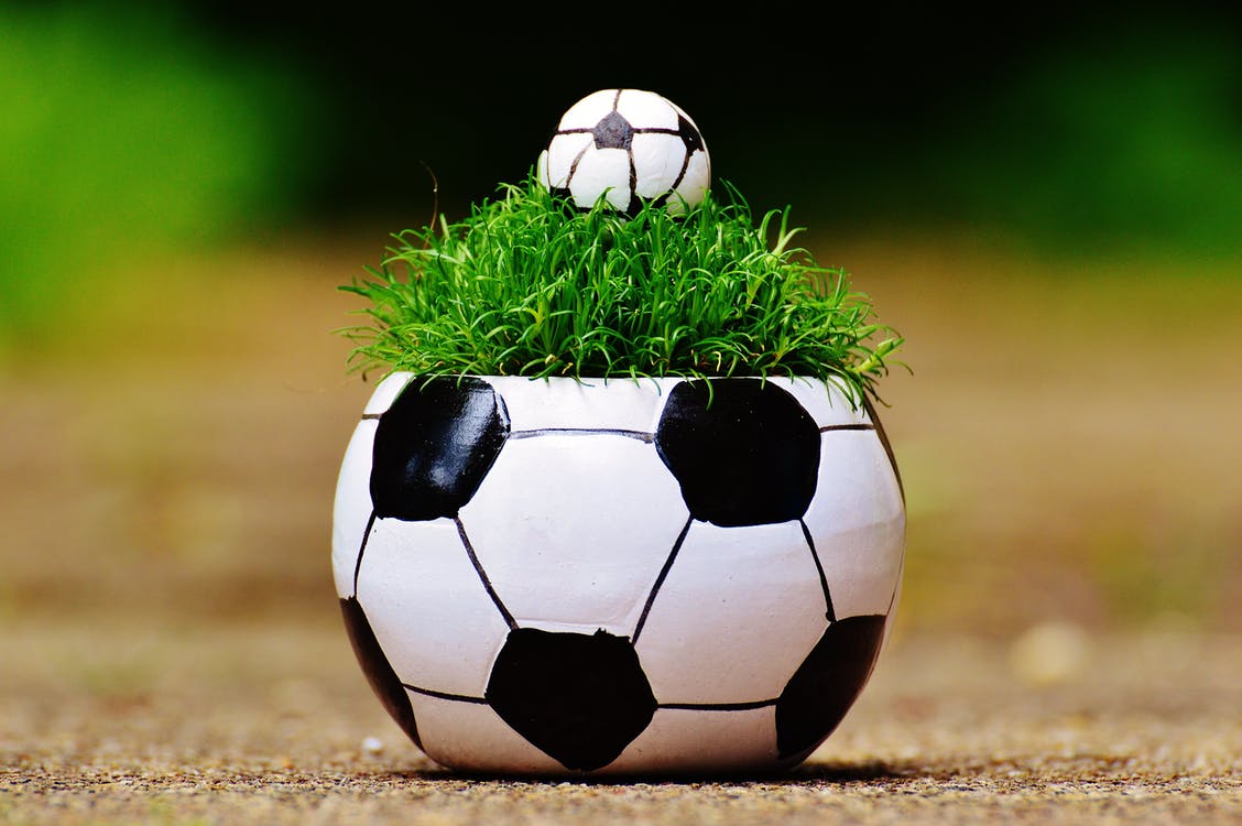 Gazon fotbal